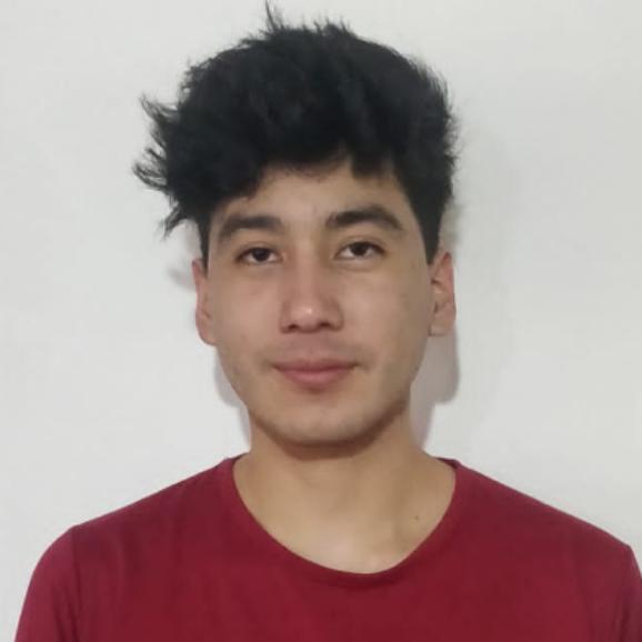 User Image